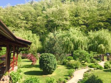 Фото номера Дом для отпуска Дома для отпуска Casa de Piatra г. Strungari 30